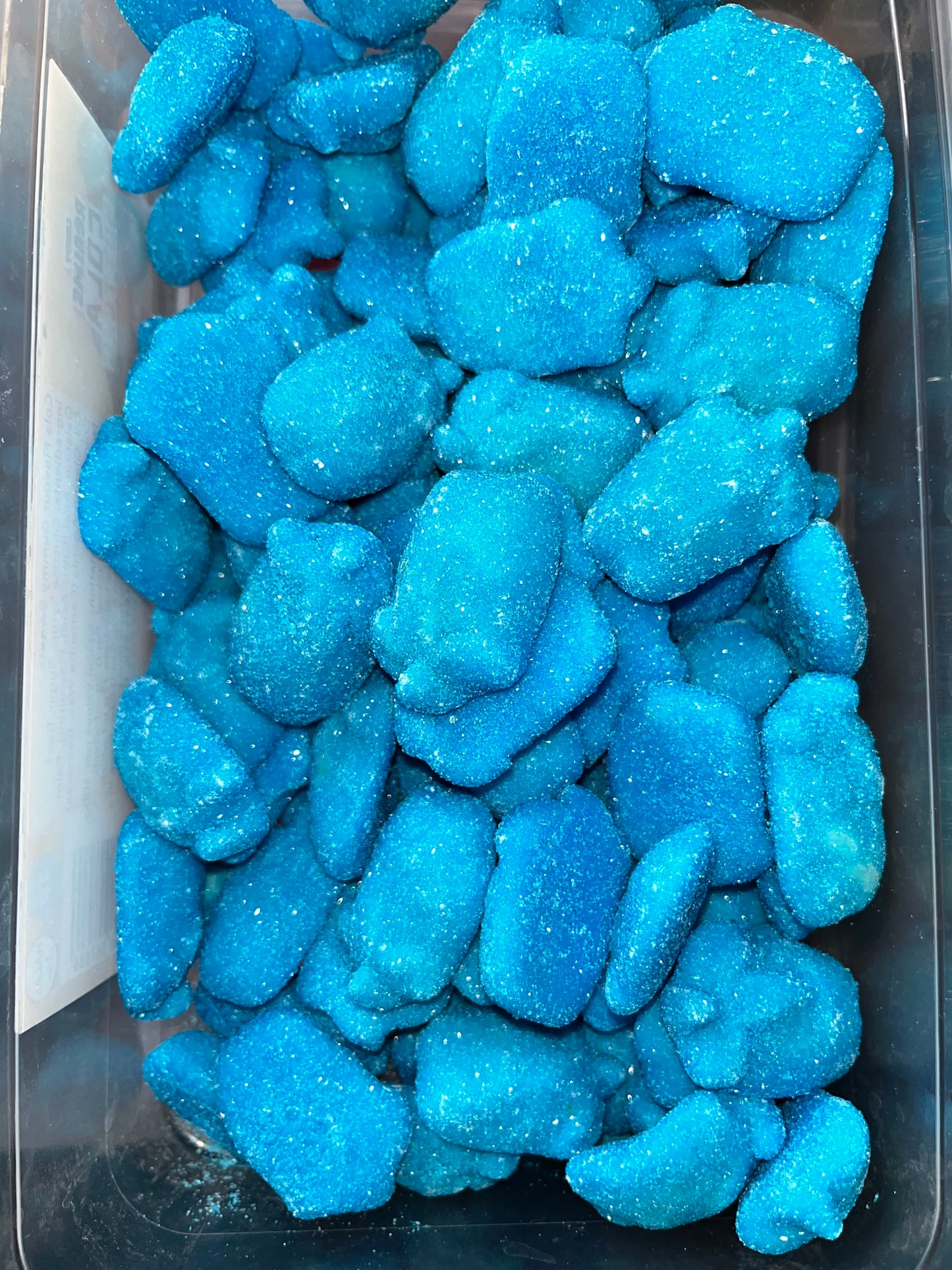Fizzy Blue Raspberry Slices